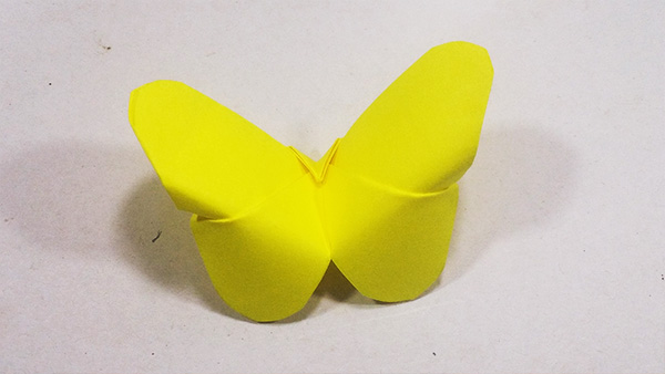 Origami Butterfly